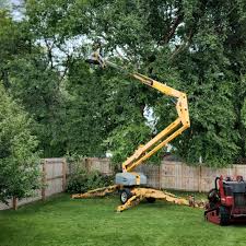 Best Tree Preservation Services  in Keller, TX