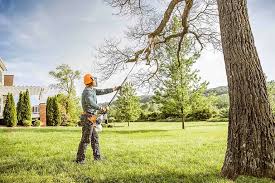 Keller, TX Tree Removal Company