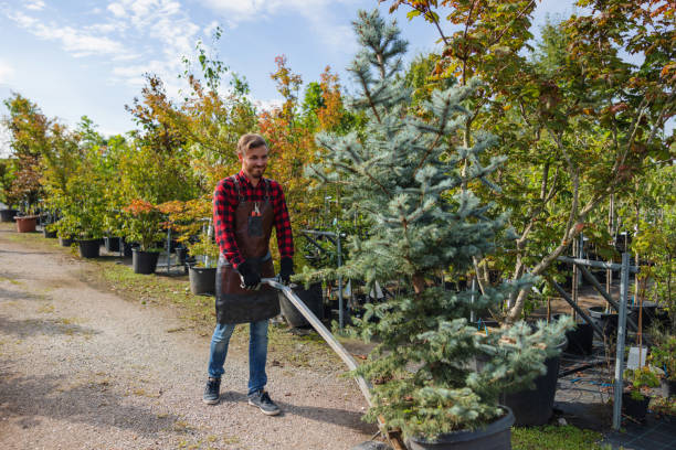 Best Mulching Services  in Keller, TX